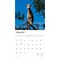 Goats in Trees | 2026 12 x 24 Inch (Hanging) Monthly Square Wall Calendar | Plastic-Free | BrownTrout | Domestic Funny Farm Animals